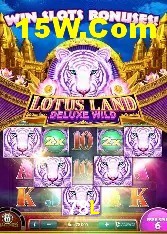 Casino Ao Vivo 78L